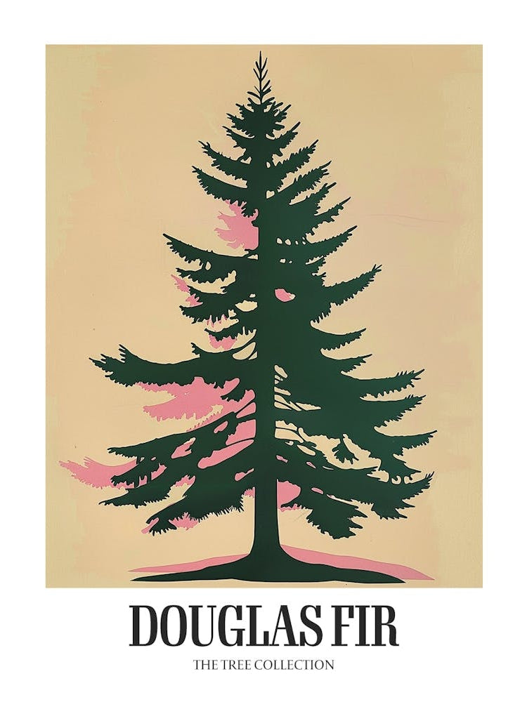 Douglas Fir Tree Illustration Colourful 2 Poster