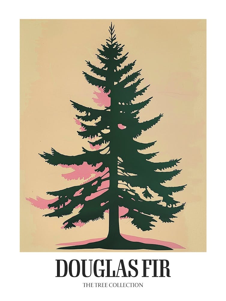 Douglas Fir Tree Illustration Colourful 2 Poster