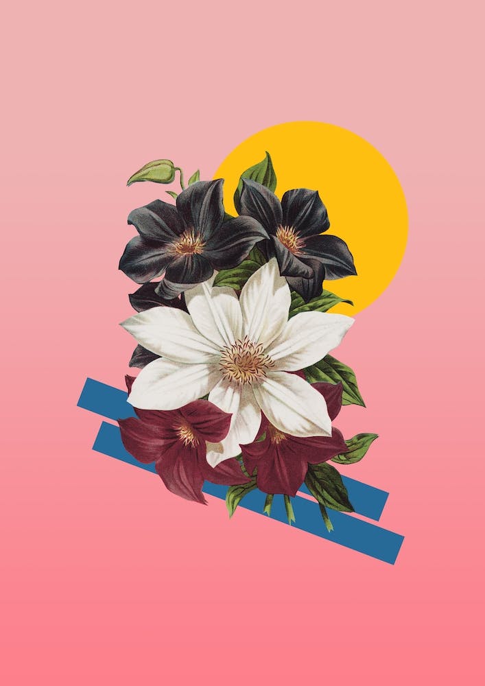 Reinvention I