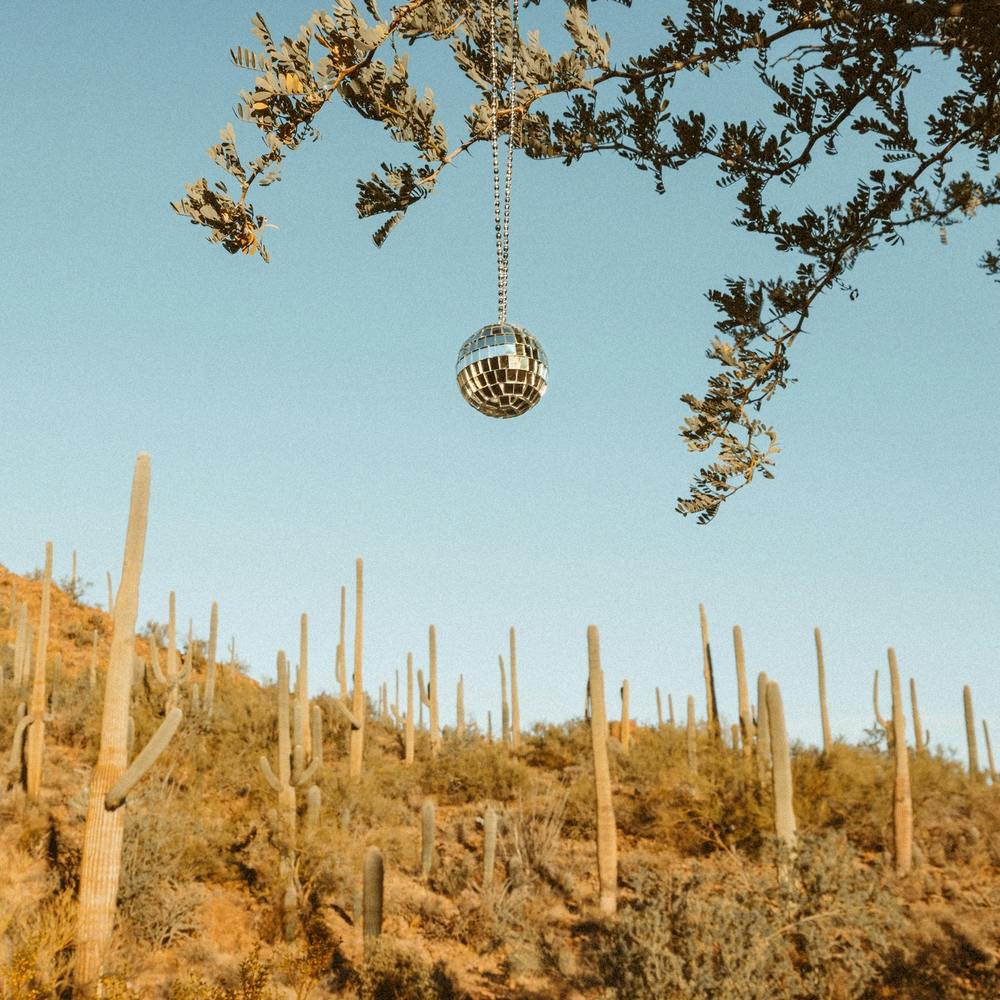 Disco Ball - Saguaro Cactus Desert - Southwest Arizona Nature Landscape