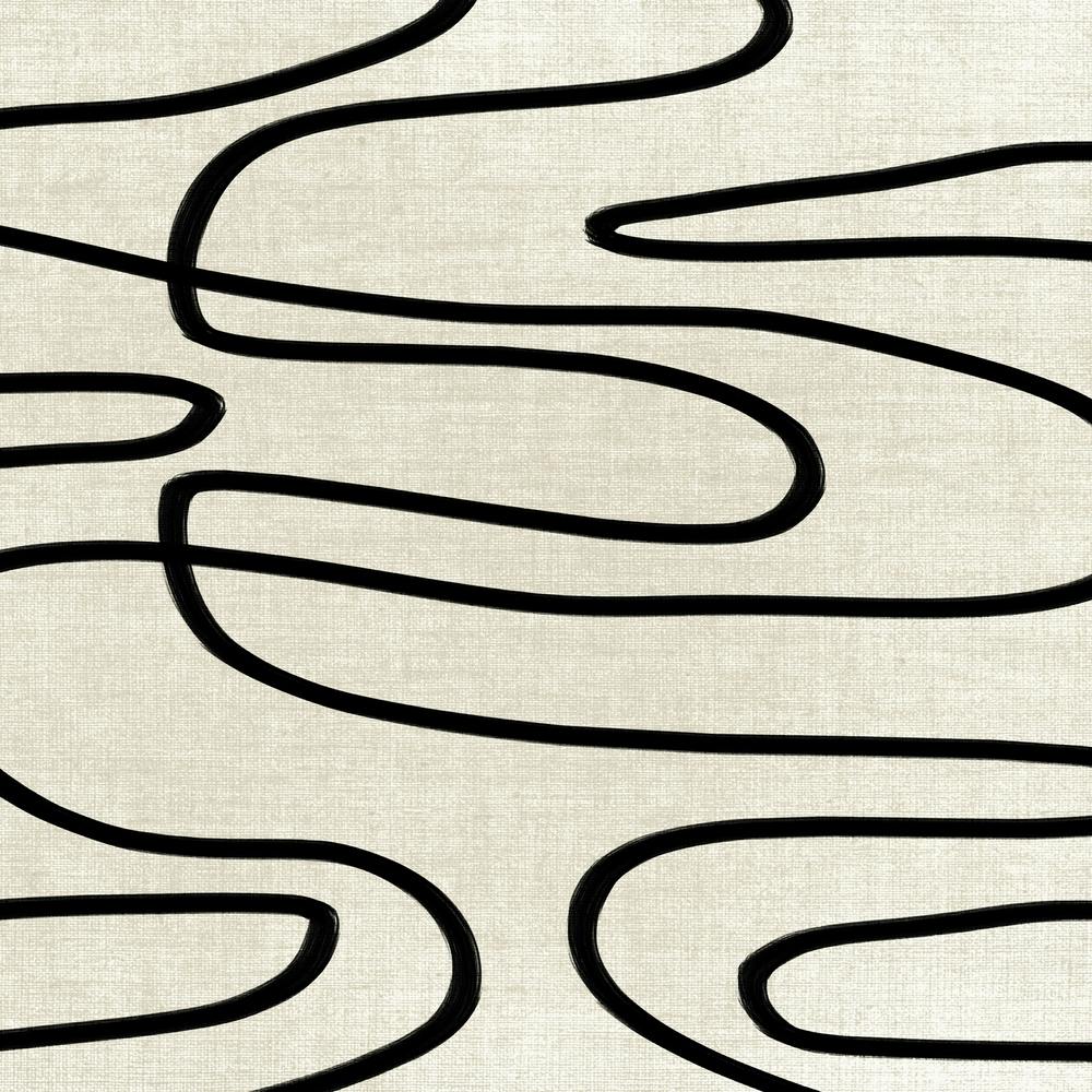 Abstract Black And White Lines