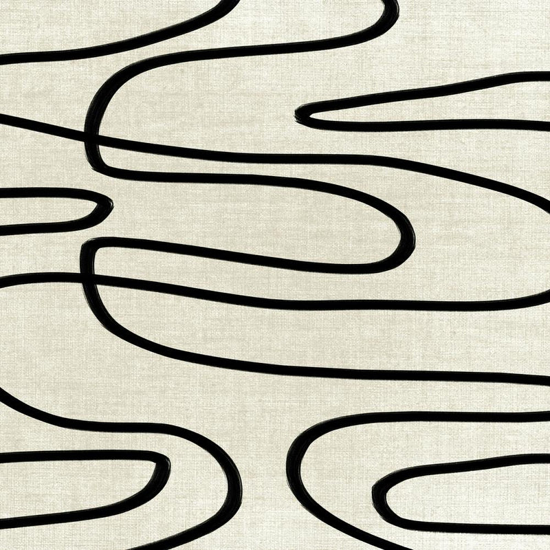 Abstract Black And White Lines