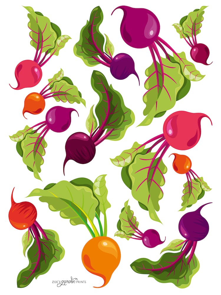 Beautiful Beetroot 1