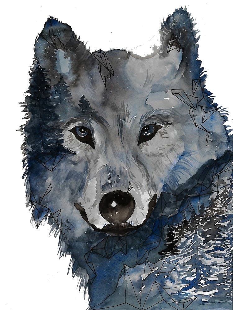 Night Wolf