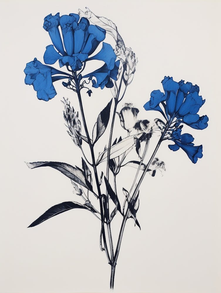 Blue Botanical Kangaroo Paw 3