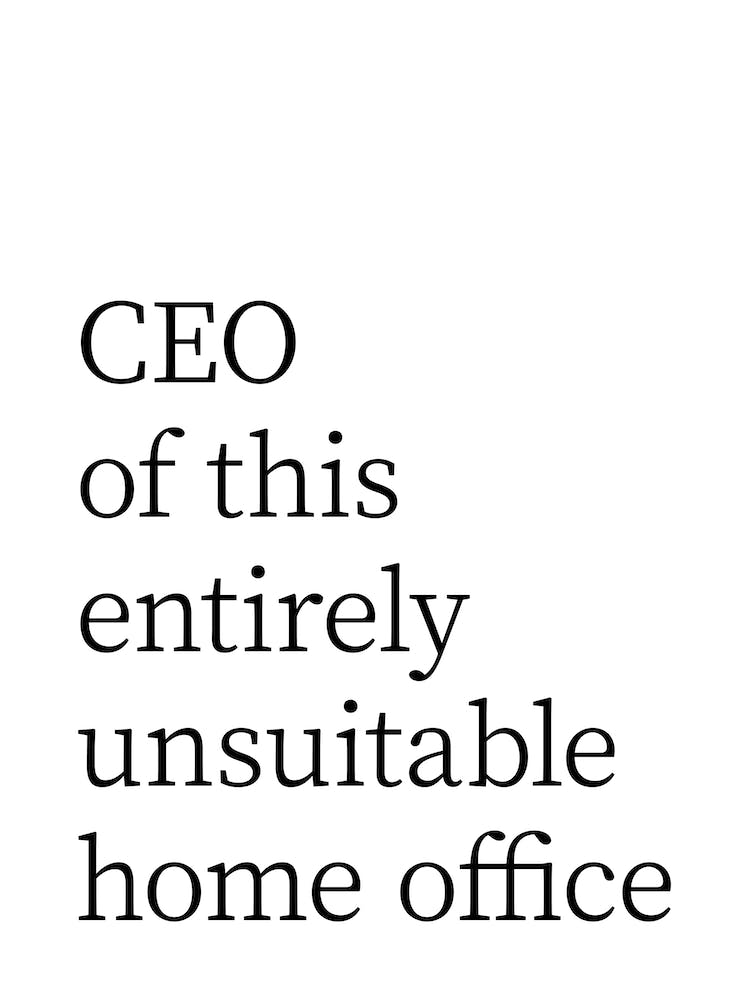 Ceo Of This Entirely Unsuitable Home Office 1