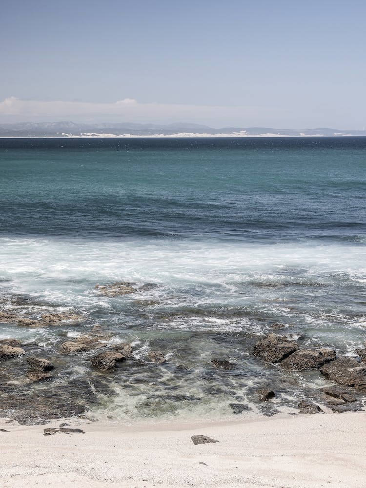 J Bay