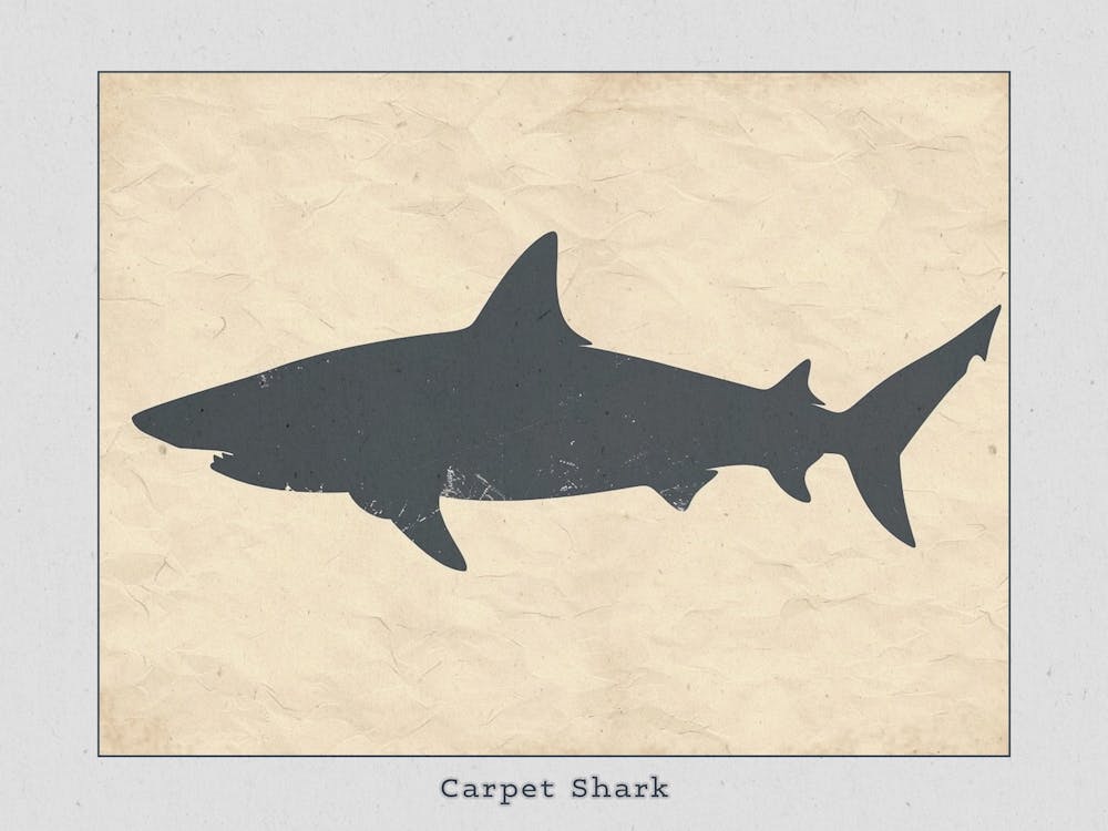 Carpet Shark Silhouette 2 Poster