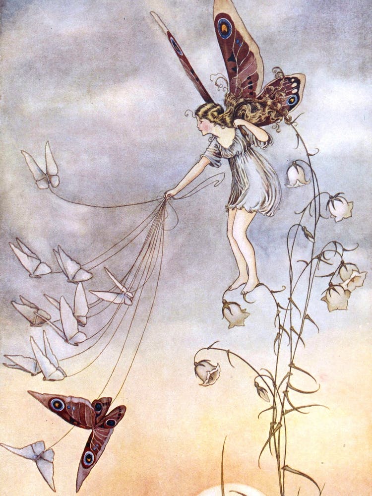 The Queen of the Butterflies - Ida Rentoul Outhwaite 1919 - Beautiful Remastered Colour Illustration Fairies and Butterfly, Witchcore Cottagecore Fairycore Witchy Fairytale High Definition
