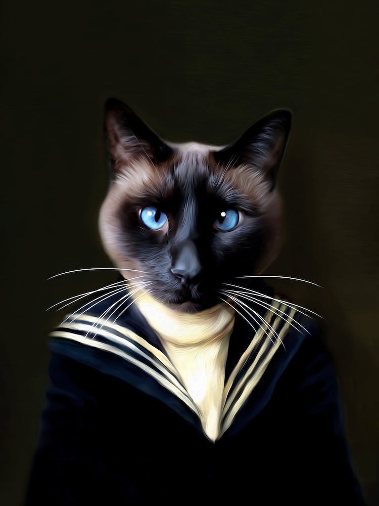 Dorus The Crosseyed Siamese Sailor Pet Portraits