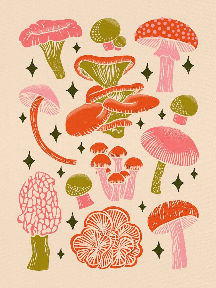 Texas Mushrooms   Bright Multicolor On Tan