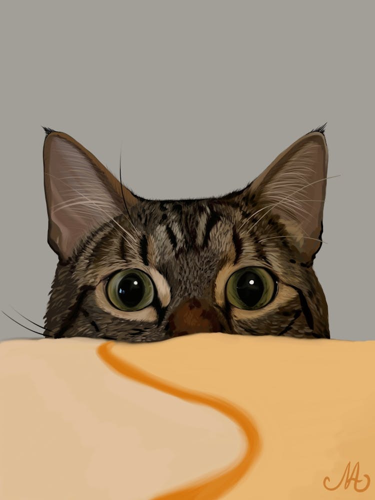 Cat Peeking Out Of Bed