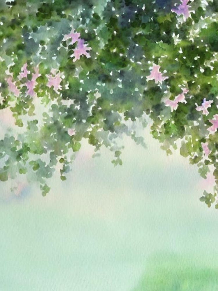 Acropora Verweyi Iiii Storybook Watercolour