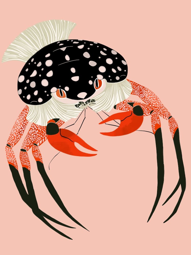 Vivid Crab