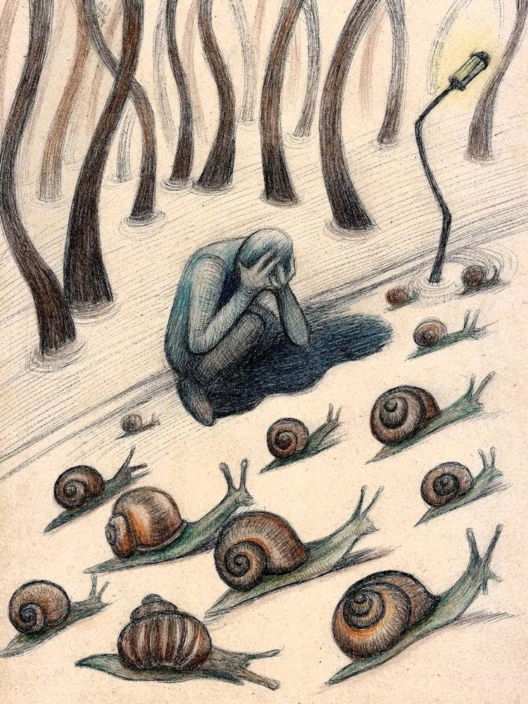 Snails In The Woods