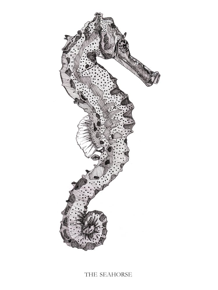 The Seahorse