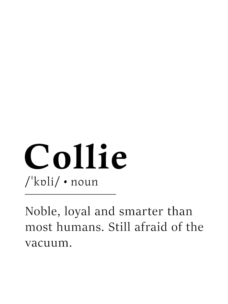 Collie Definition Poster - Dictionary