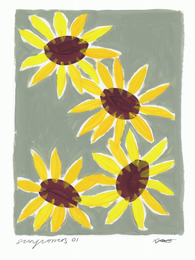 Sunflowers Flowers