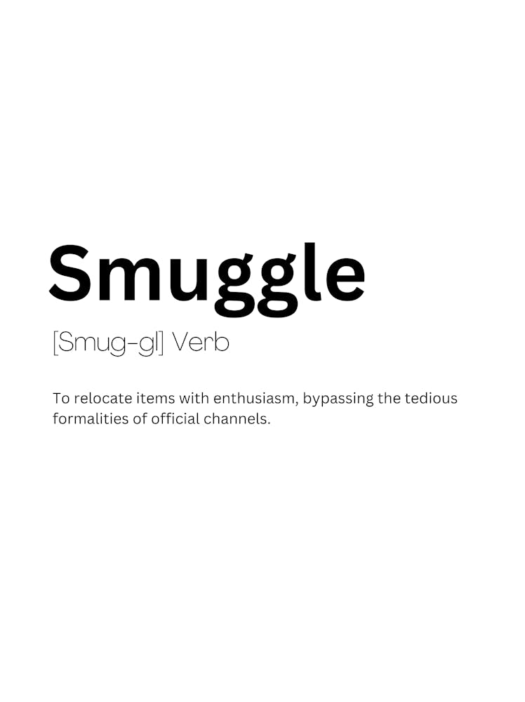 Smuggle Definition Meaning 1