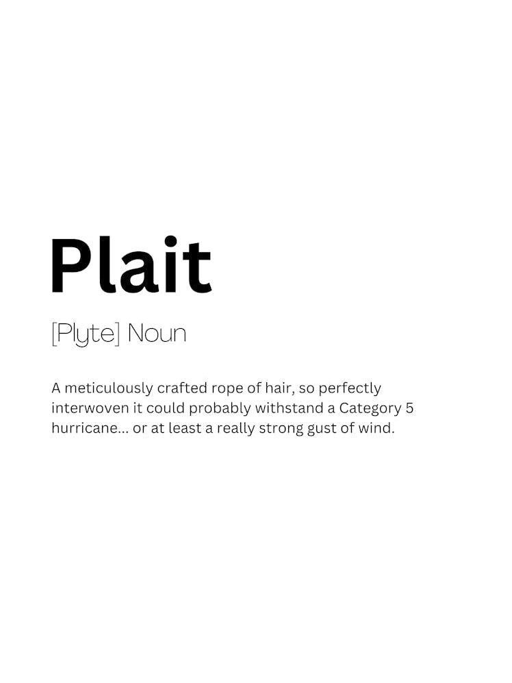 Plait Definition Meaning