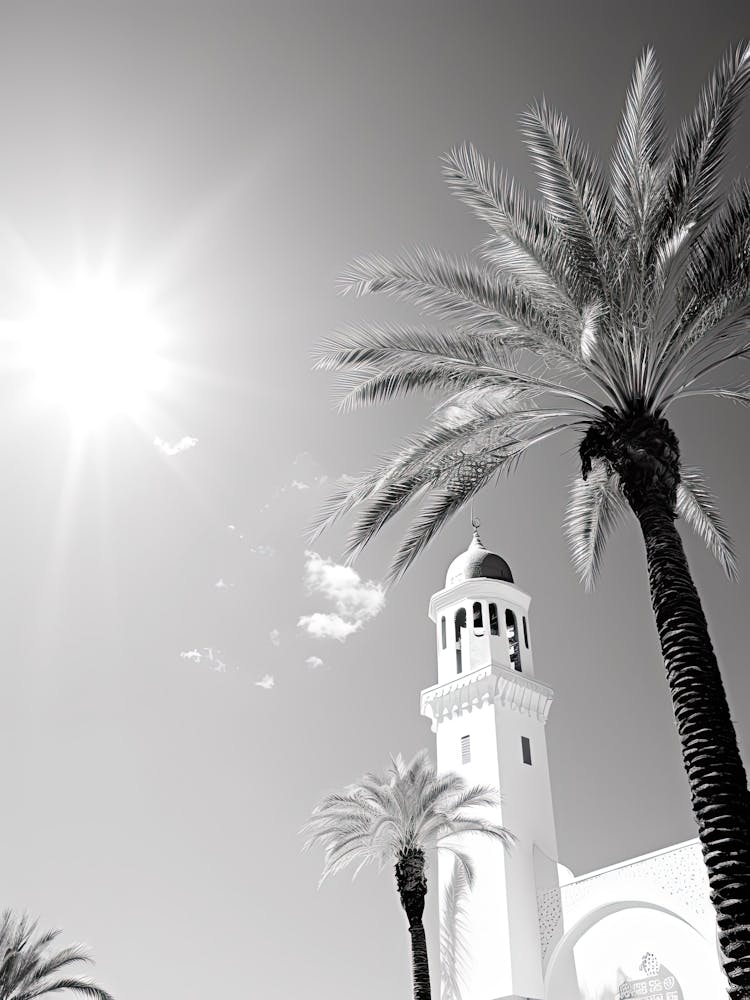 Djerba, Tunisia, Black And White Photography 2