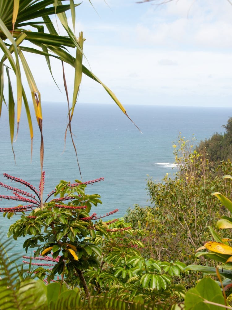 Hawaiian Beach