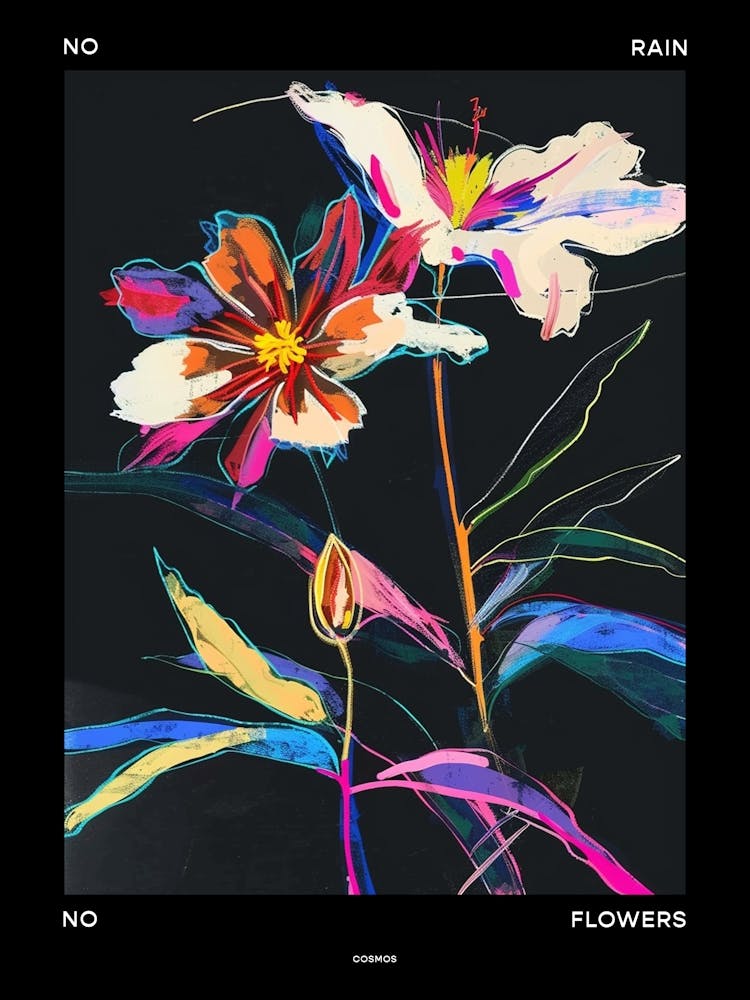 No Rain No Flowers Poster Cosmos 3