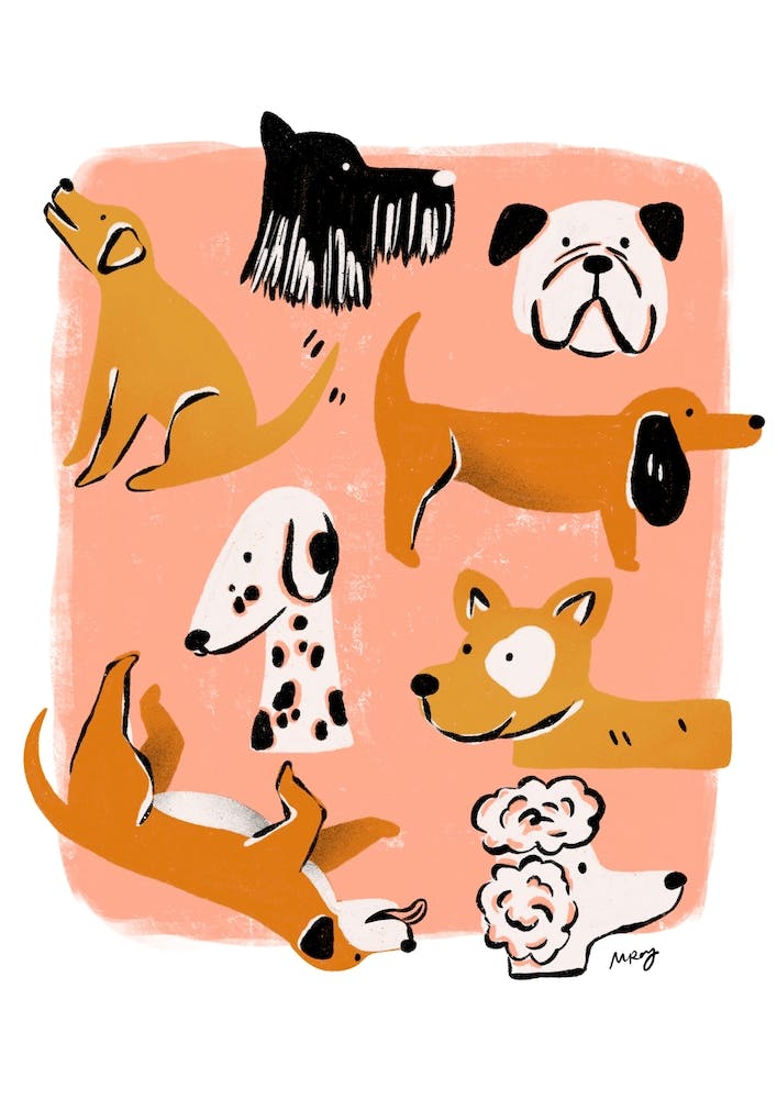 Dogs   
