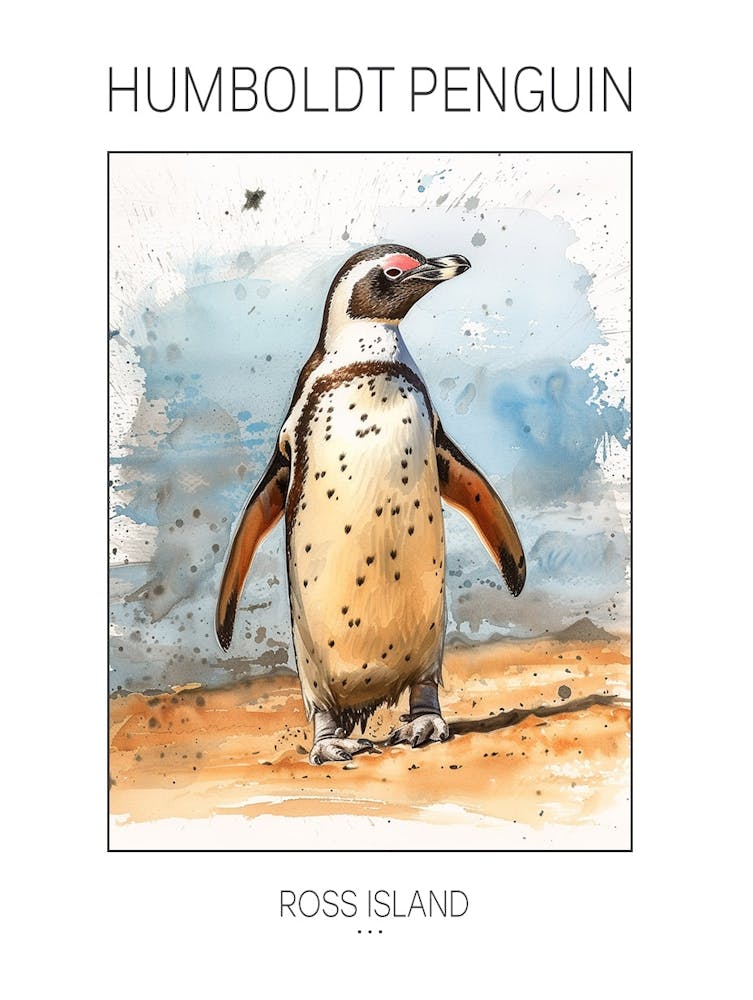 Humboldt Penguin Ross Island Watercolour Painting 2 Poster