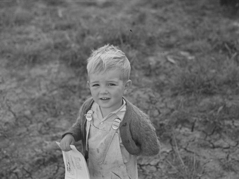 Child Of Cut Over Farmer Near Little Fork, Minnesota By Russell Lee