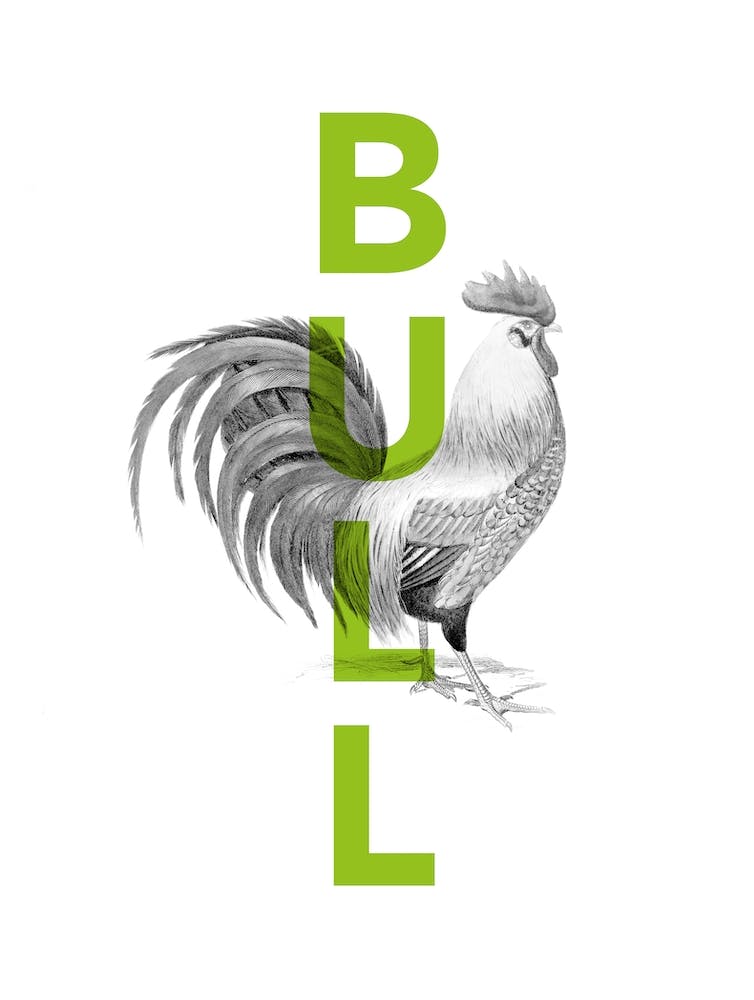 Cock and Bull funny typography