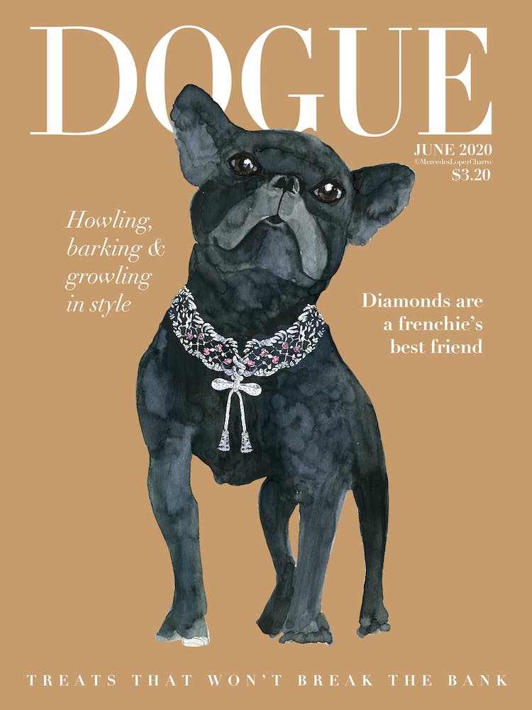 Fashion Frecnhie Dogue Cream