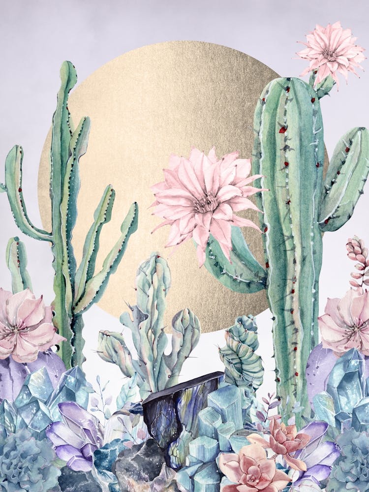 Cactus And Flowers Desert Summer Sun