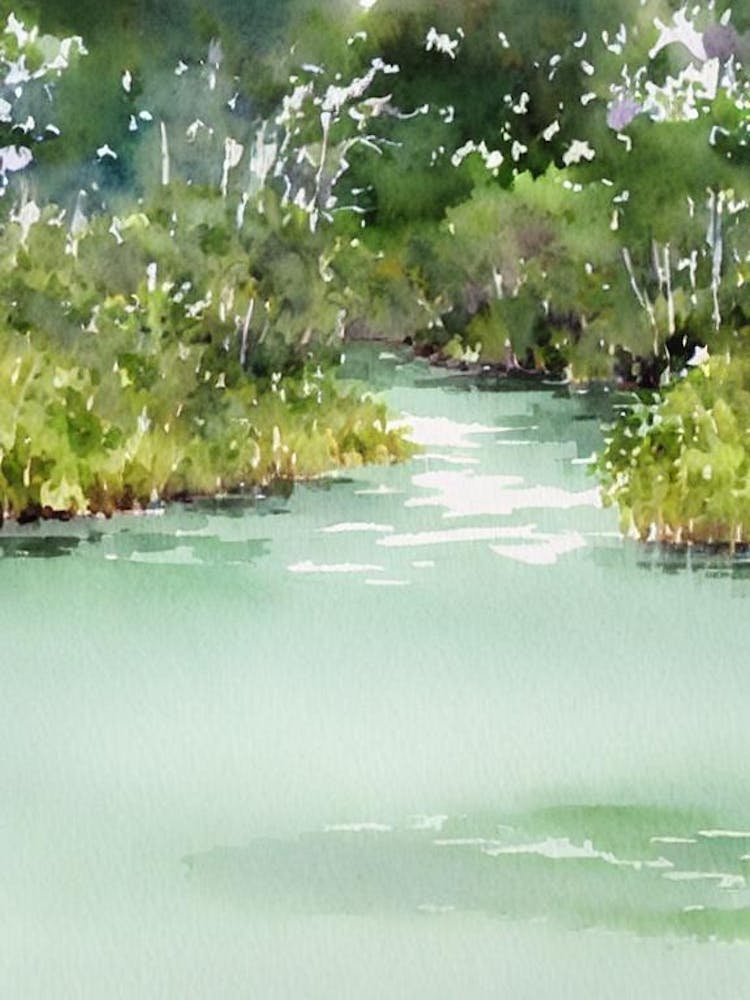 Everglades National Park United States Of America Water Colour Poster