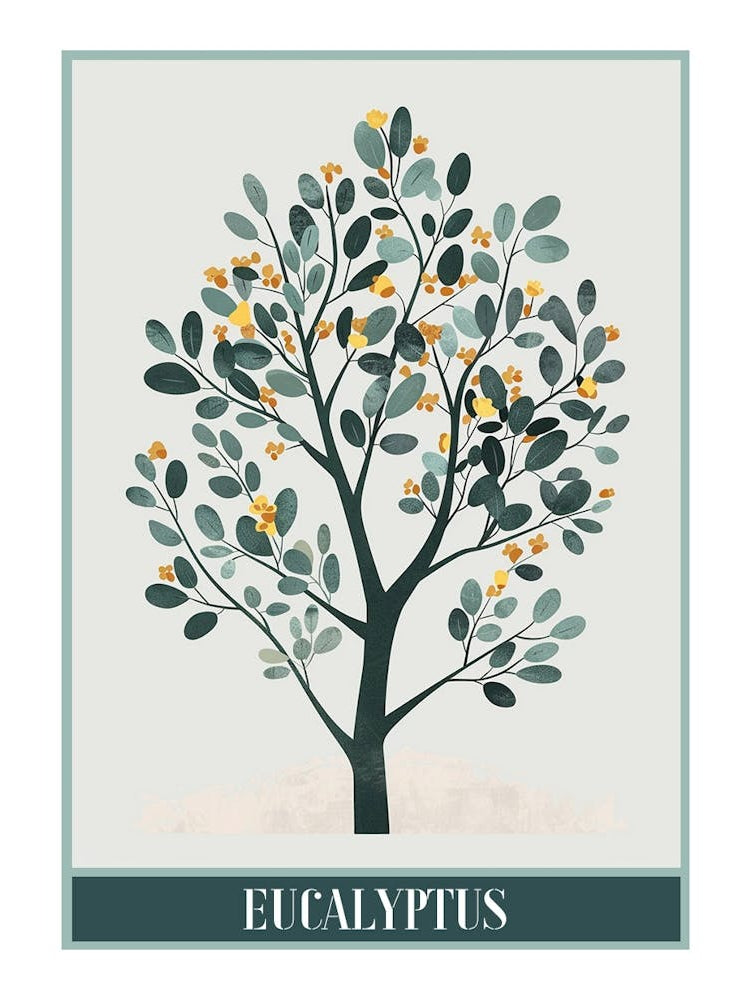 Eucalyptus Tree Illustration Flat 3 Poster