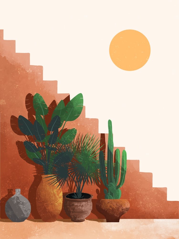 Cactus Garden 4