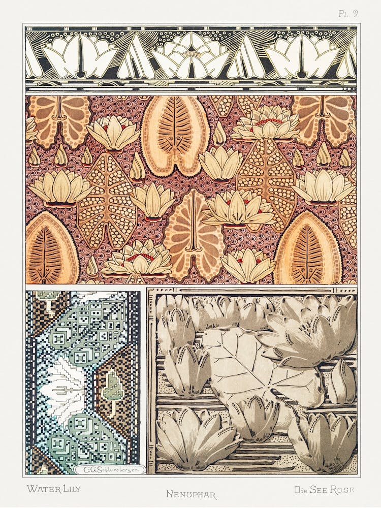 Water Lily From The Plant And Its Ornamental Applications (1896), Maurice Pillard Verneuil