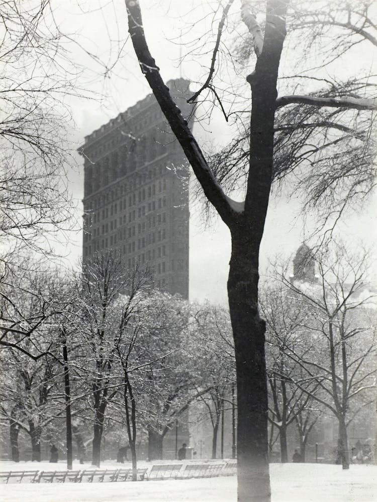 The Flatiron (1903), Alfred Stieglitz