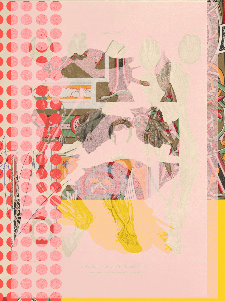 Another Daydream Night Flow Animal And So Mix