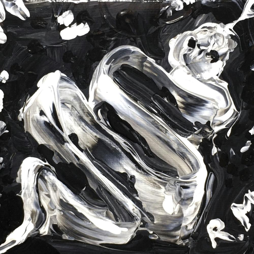 Abstract Little Black Snake