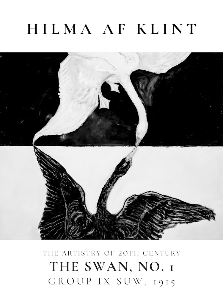 Swan, No 1