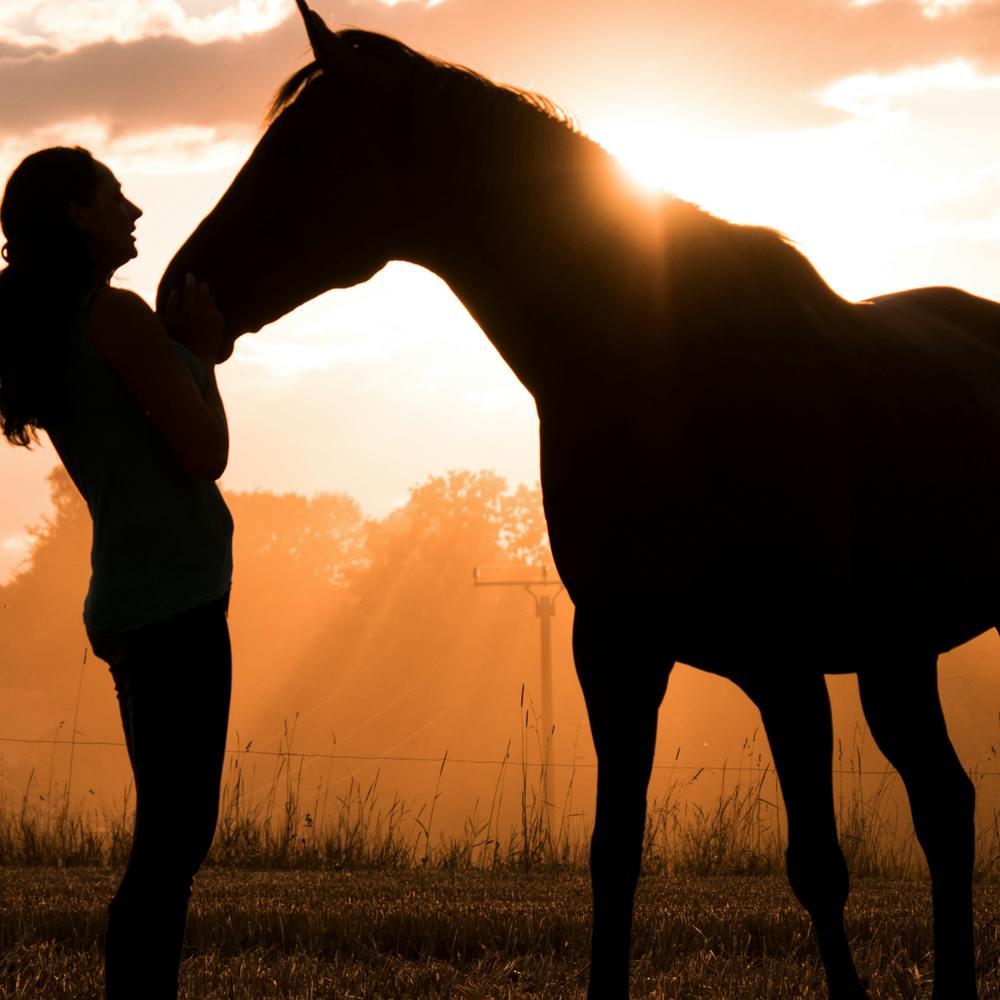 Silhouette Of A Woman And Horse