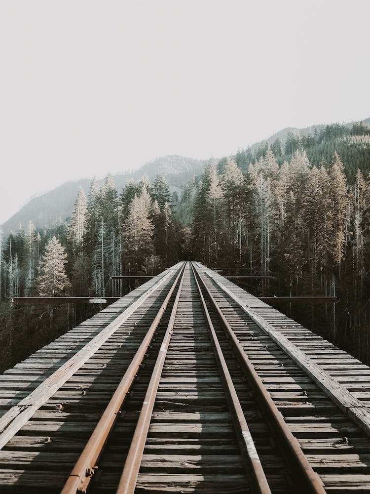 Forest Train Tracks