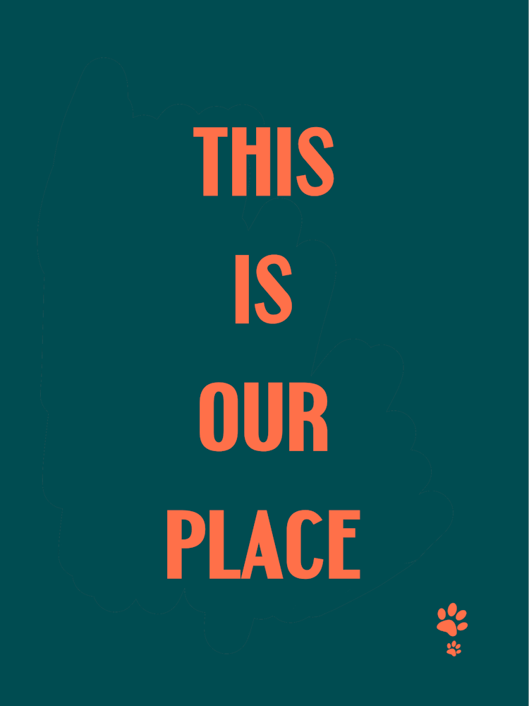 This Is Our Place