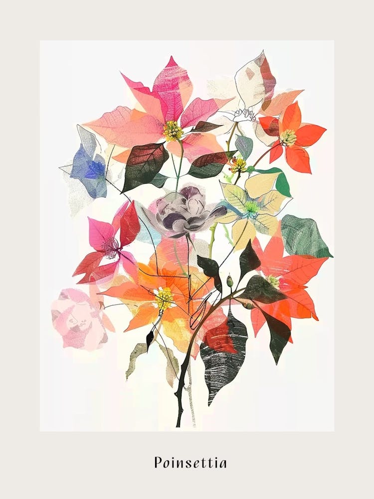 Poinsettia 2 Collage Flower Bouquet Poster