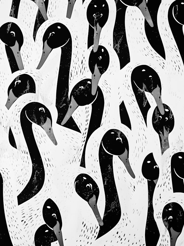 Swans 3