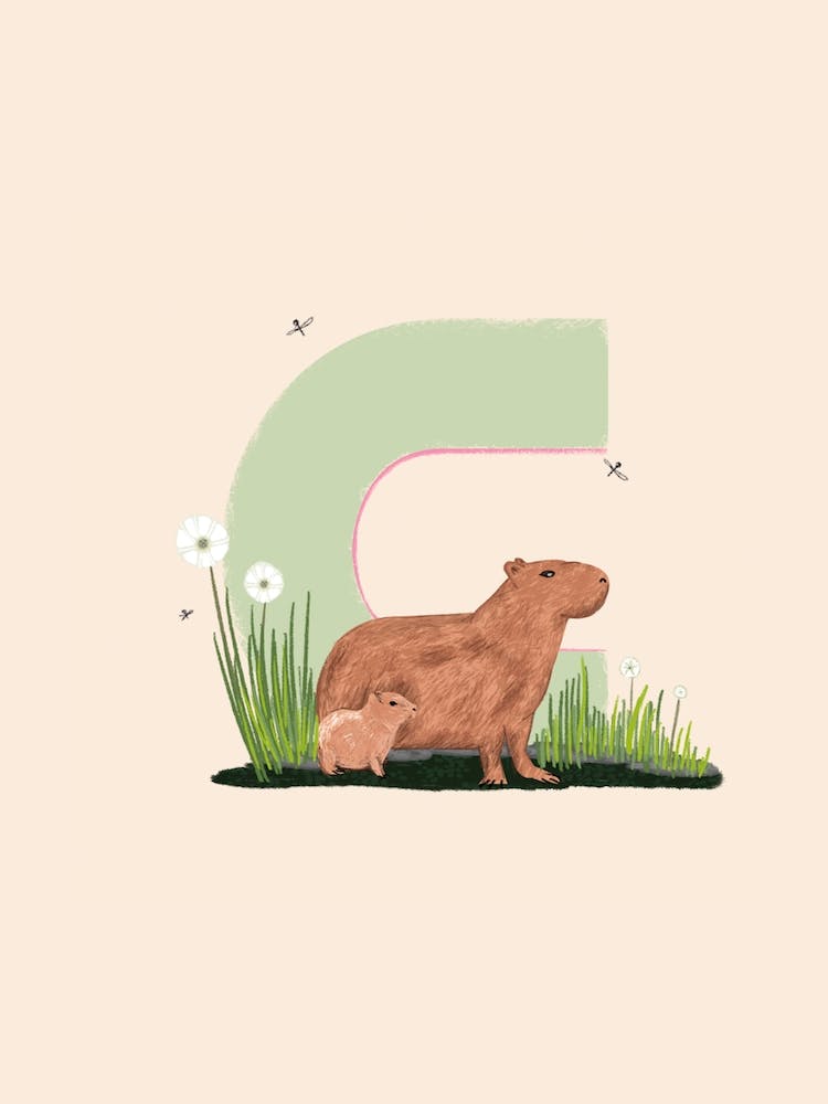 Letter C Capybara