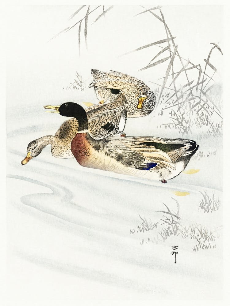 Three Ducks In Shallow Water With Reeds (1900 1930), Ohara Koson