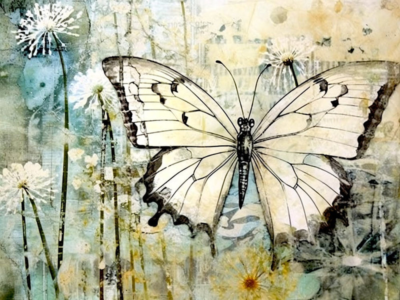 Butterfly On Dandelions