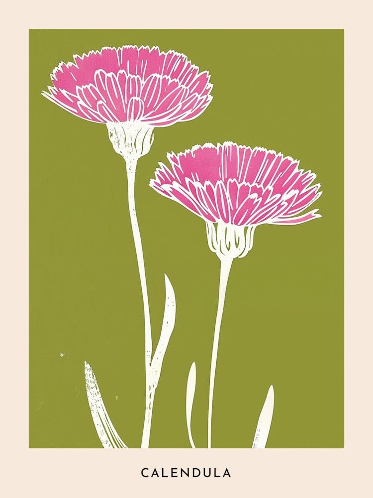 Pink & Green Calendula 2 Flower Poster